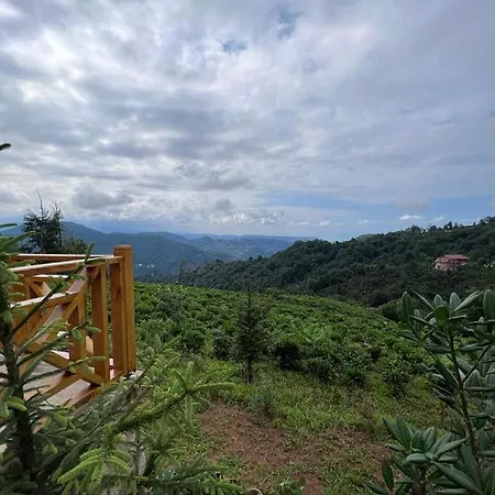 Pamira Tatil Koeyue 호텔